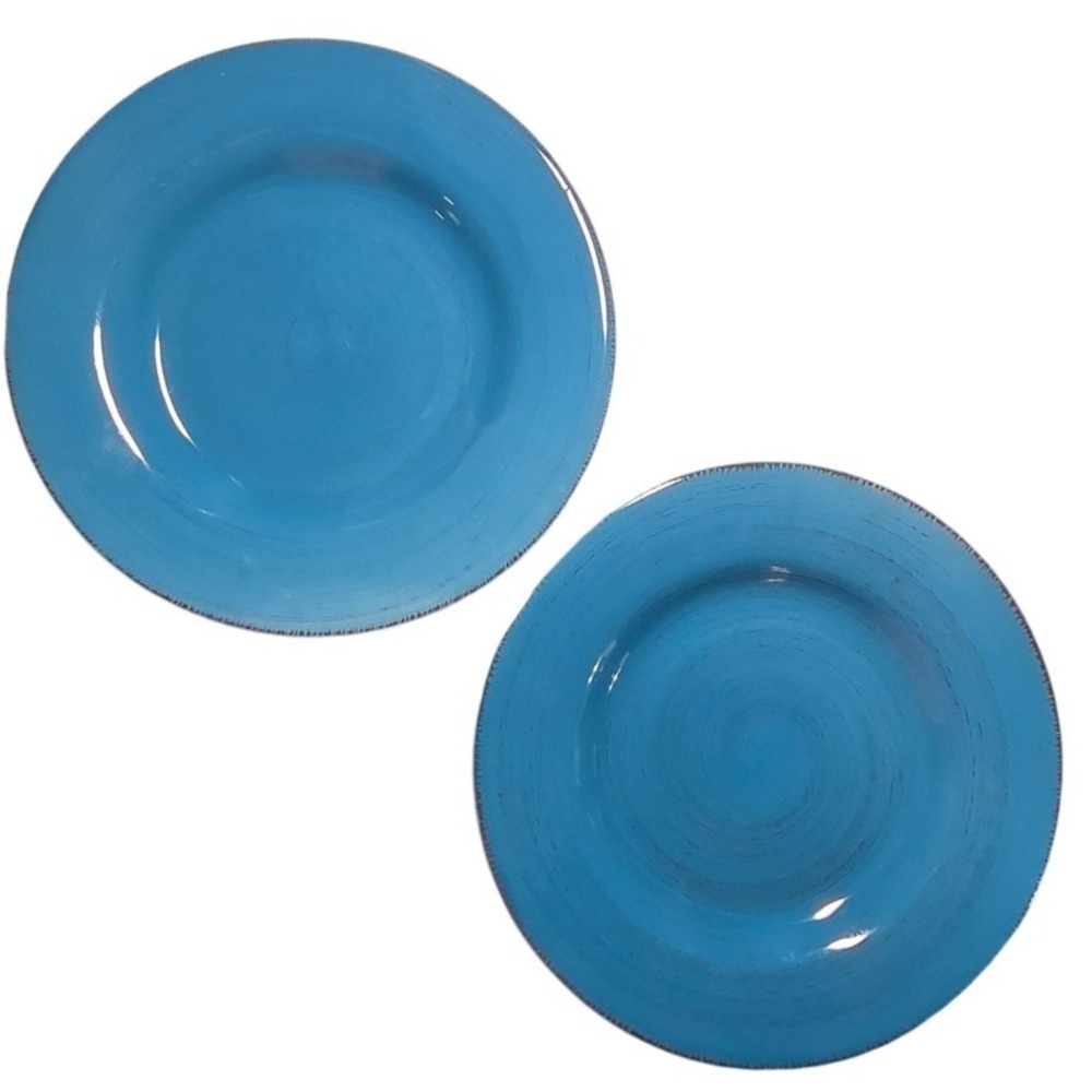 Tag Set of‎ 2 Teal Blue Stoneware Dinner Plates Rustic Glazed Dishware perfect